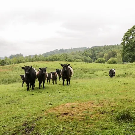 Loweswater Эмблсайд